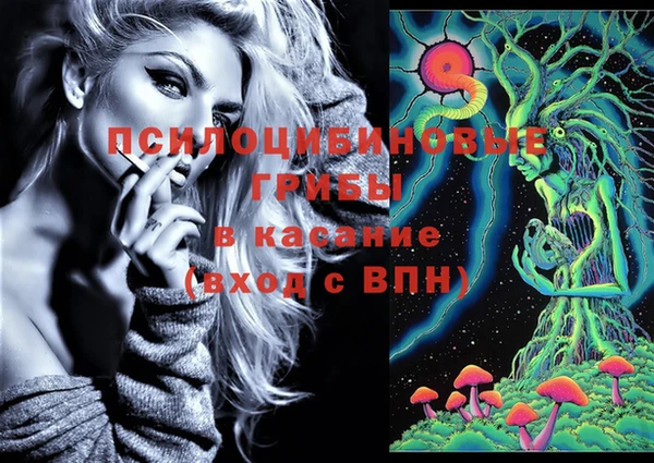 молекула духа Навашино