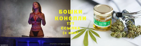 PSILOCYBIN Надым