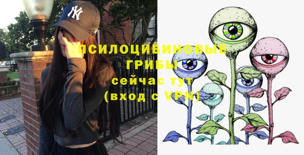 МДПВ Абаза