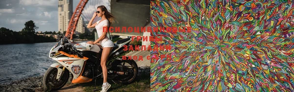 PSILOCYBIN Надым