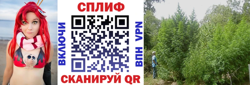 гидра ссылки  закладка  Усолье  Каннабис OG Kush 